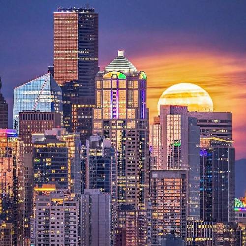 حصین و رضا پیشرو و صادق کلمه عبور